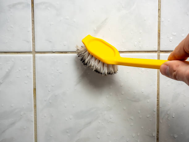 Best Home Mold Removal  in Shinglehouse, PA